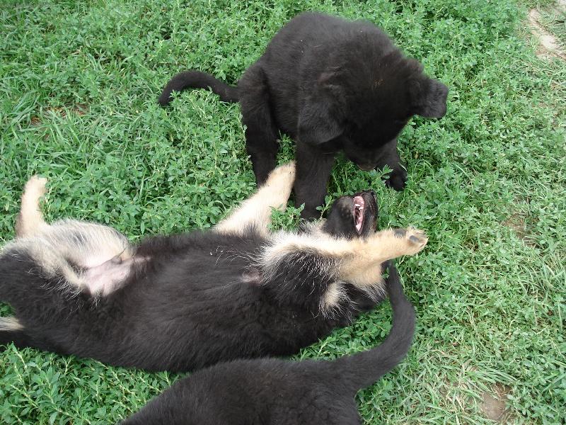 Foto: Vzdej se!!-Souboj