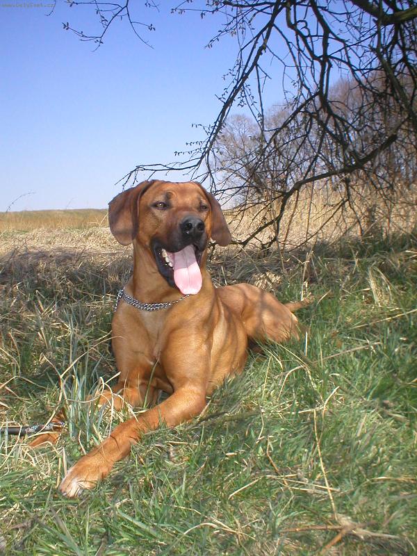 Foto: Dnes, je ale va�ne hezky...