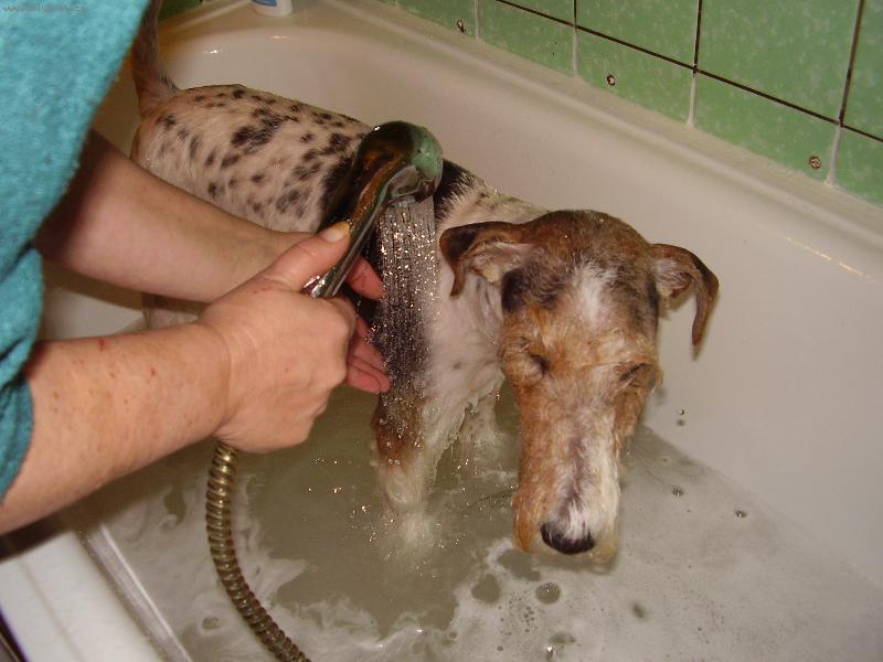 Foto: Koup�n�-...i voda je kamar�d...