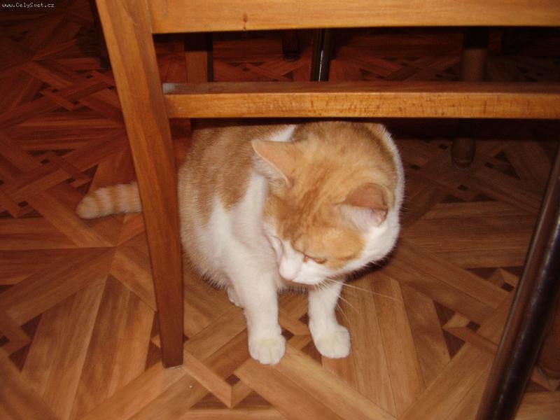 Foto: Mates na ��han�-...stejn� se do�k�m  :o)