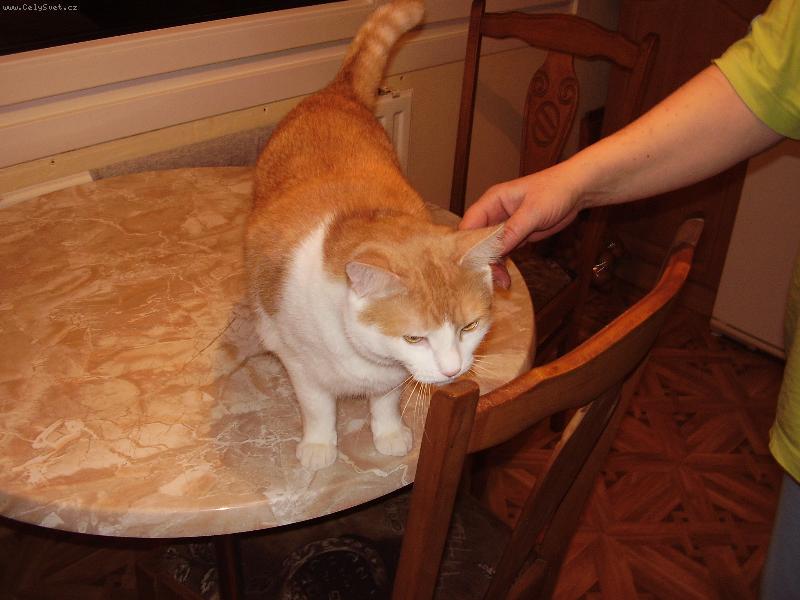 Foto: ..jet� za lev�m...-..to je n�dhera!