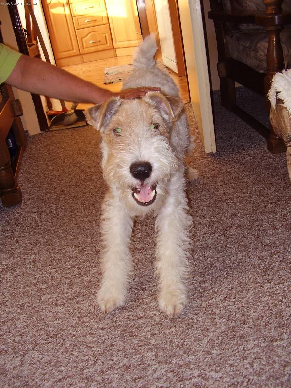 Foto: REX�K-...na�e zlat��ko  :o)