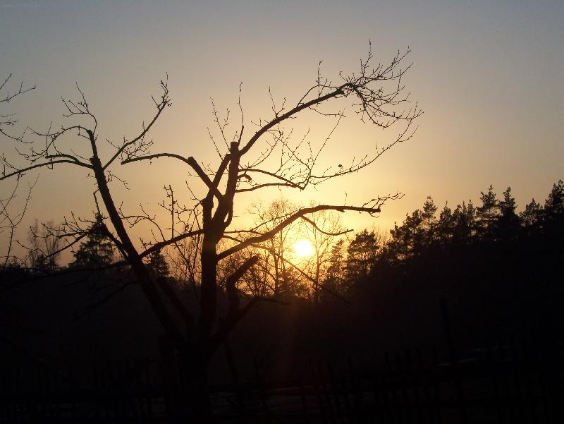 Foto: z�pad slunce v zahr�dk�ch