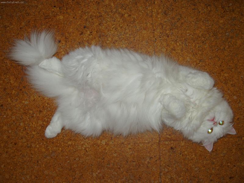 Foto: Vzd�vaj�c� se Eli�ka