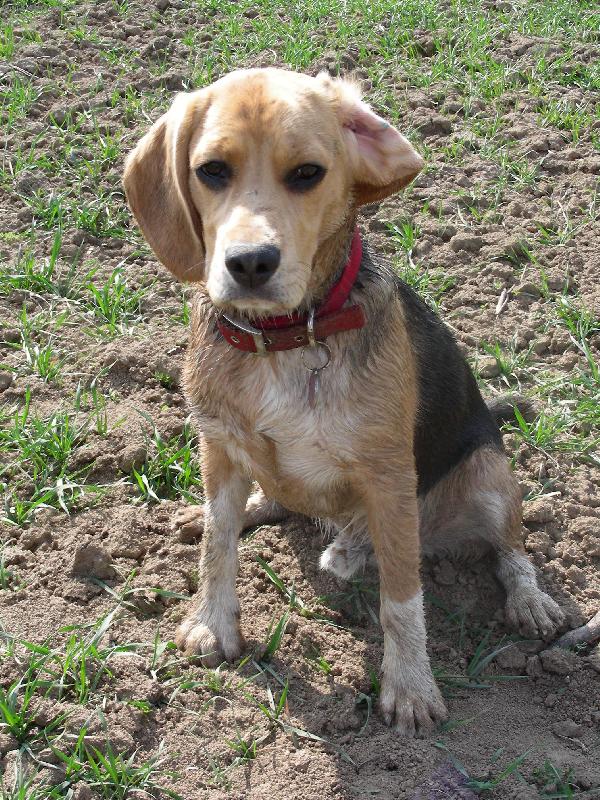 Foto: Po bahen� l�zni