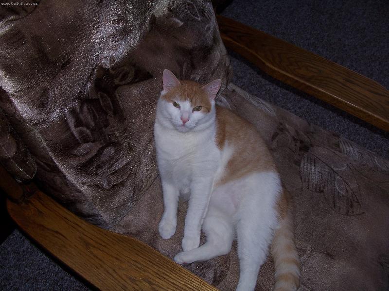 Foto: Mates-...zapni u� tu bednu!!!