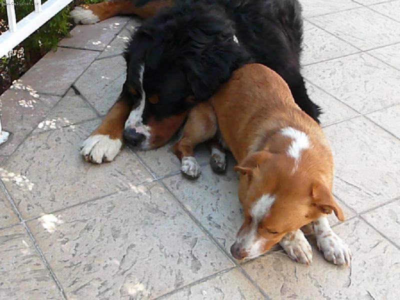 Foto: M� zlat��ka-Edy a Okty