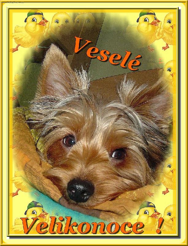 Foto: Vesel� Velikonoce !-Vesel� Velikonoce !