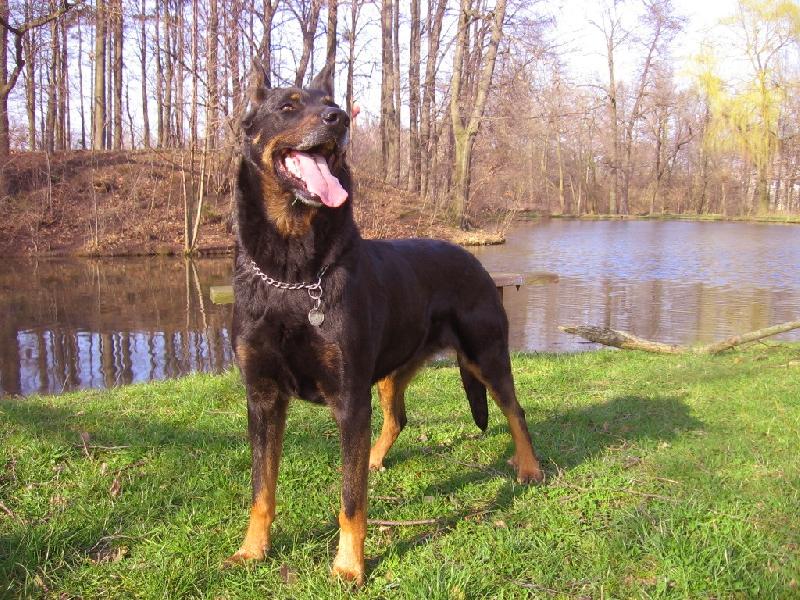 Foto: jsem fakt velk� drs�a�ka!