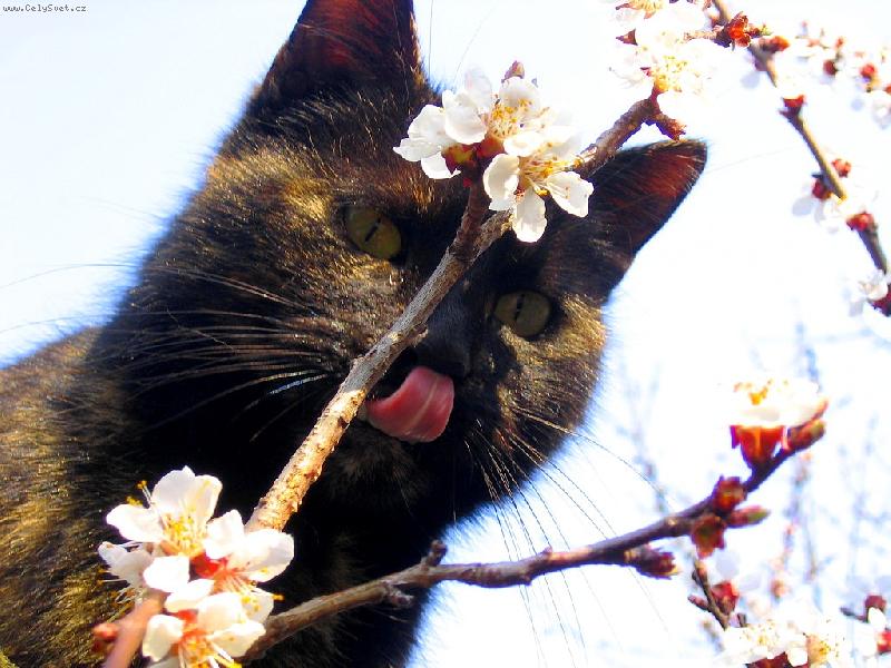 Foto: po�k�m si tu na meru�ky...