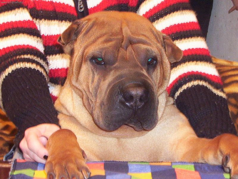 Foto: to� kde m�m to j�dlo???