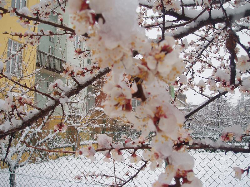 Foto: Posledn� sn�h-I pod sn�hem je kr�sn�