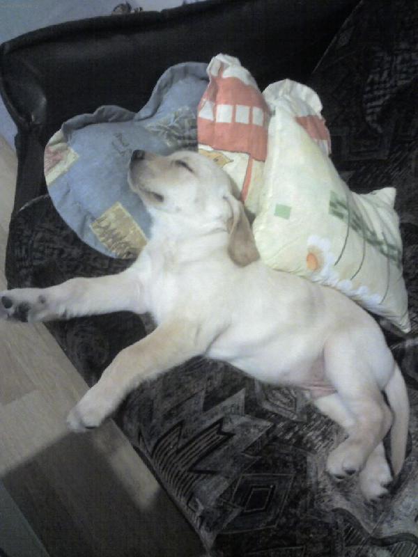 Foto: Jeee...to je pohoda...