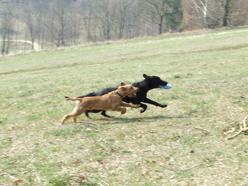 Foto: dokonal� souhra