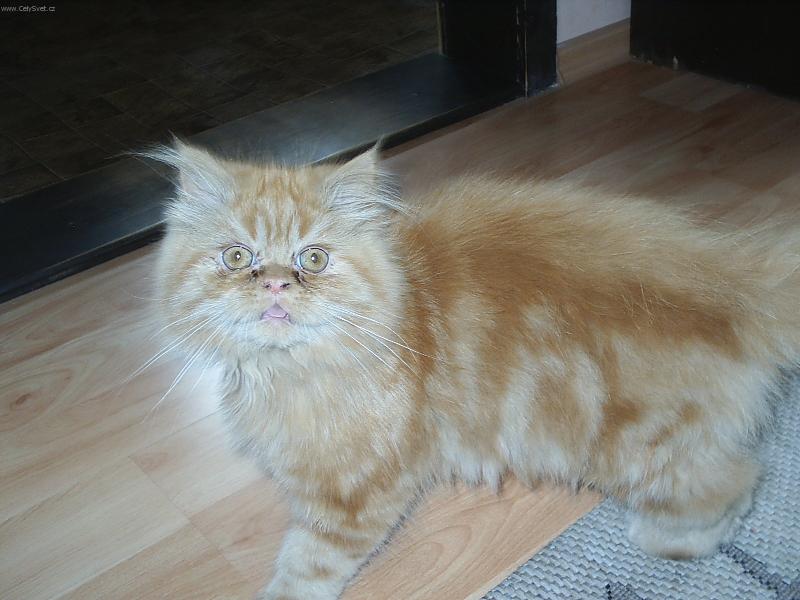 Foto: Viki-V����uuuu!!!!!!!