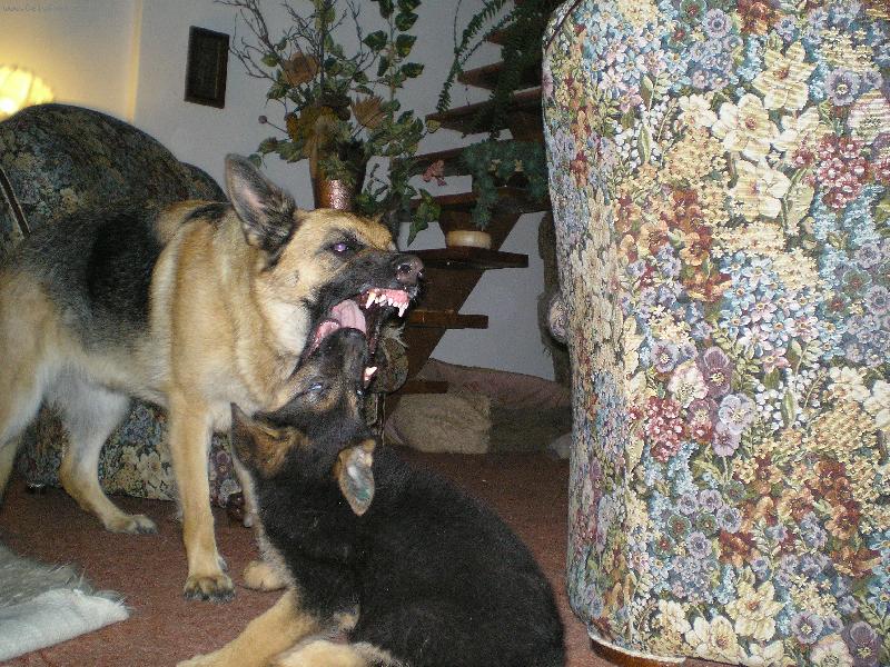 Foto: Bobinka a Iru�ka-Na�i mil��ci