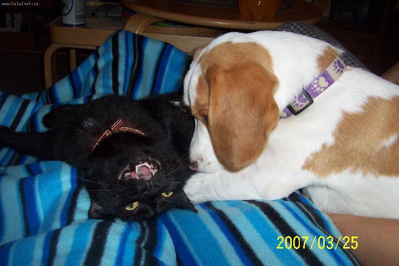 Foto: Lucka a Charli-Ahoj lidi, jak se vede?