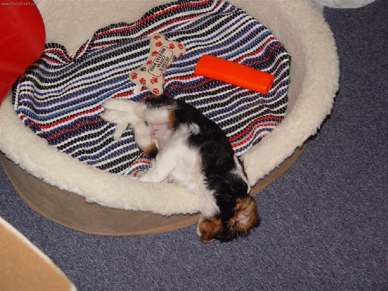 Foto: kazda poloha dobra-hlavne ze se prospim