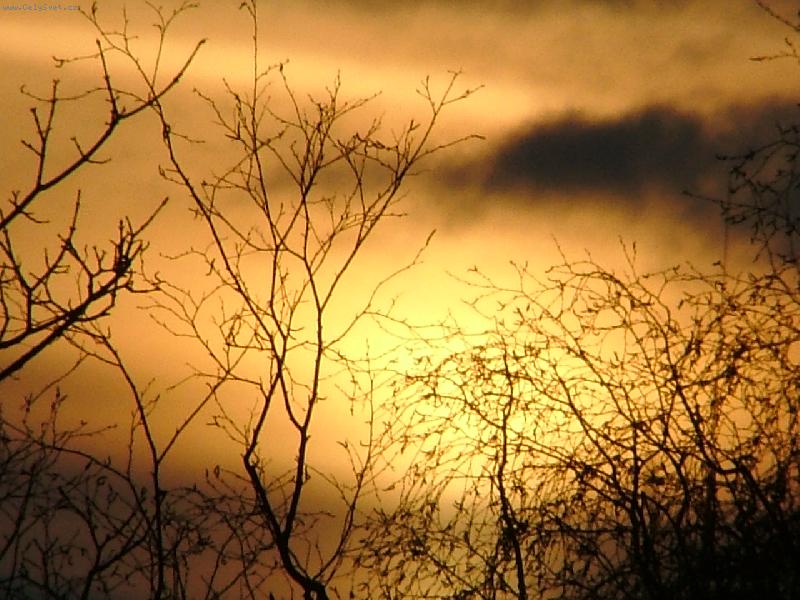 Foto: Z�pad slunce