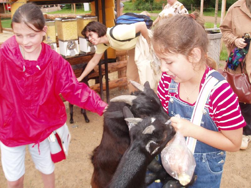 Foto: ZOO-Krmen� kozi�ek.