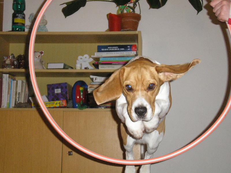 Foto: Let�m!!!!-...co bych neud�lala pro pi�kotek!?