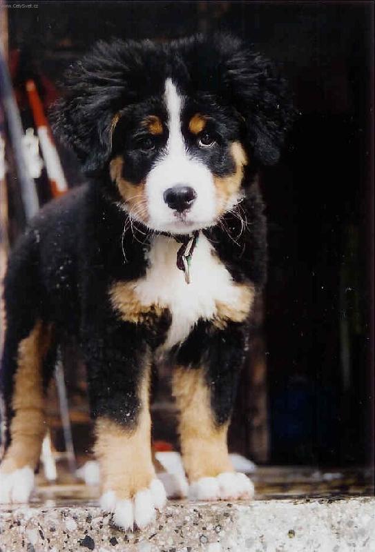 Foto: �t���tko