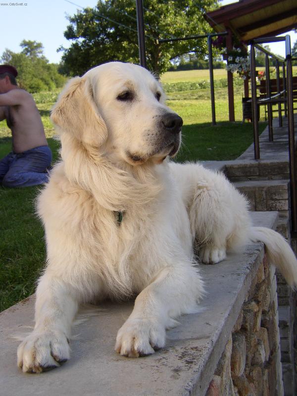 Foto: Swinga-Um�m to l�pe ne� swinga