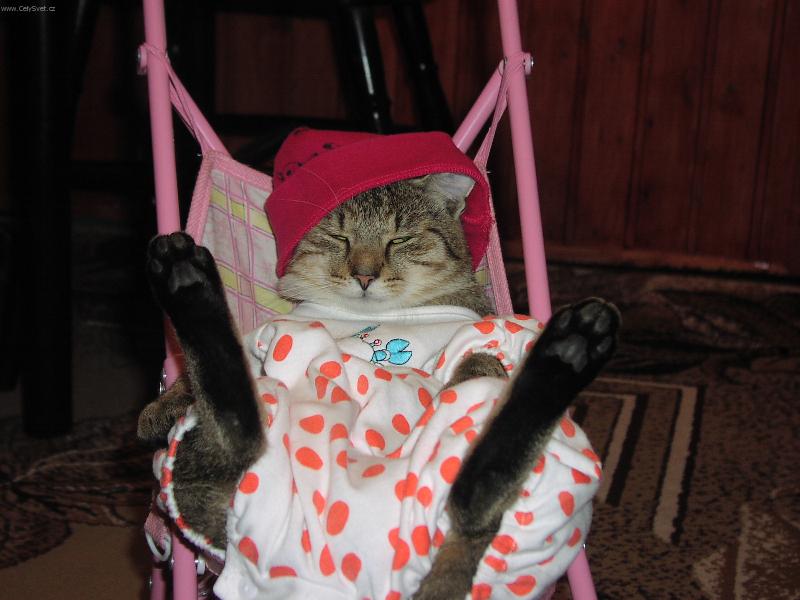 Foto: Na�e mimino-Mal�s v ko��rku