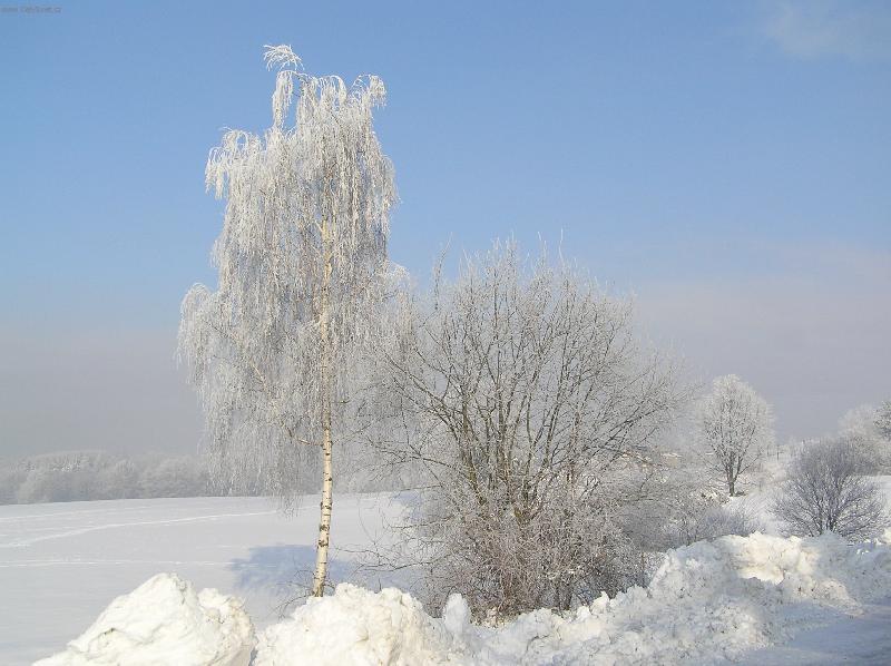 Foto: Jako nev�sty-B��zy zahalen� v mraziv�m �atu