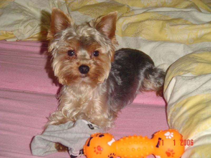 Foto: Bert�k-M�j �lovek - p�n��kova pono�ka