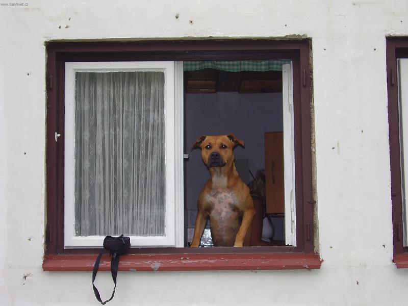 Foto: Kdo to zase jde