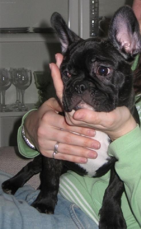 Foto: Dr�te mn�!!!!