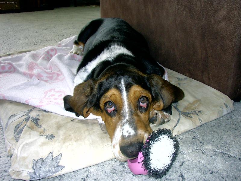 Foto: B�da-Odpoledn� siesta