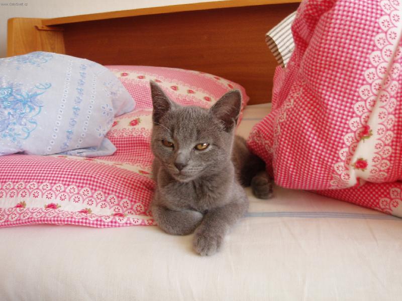 Foto: Tak a muzes fotit.. :)