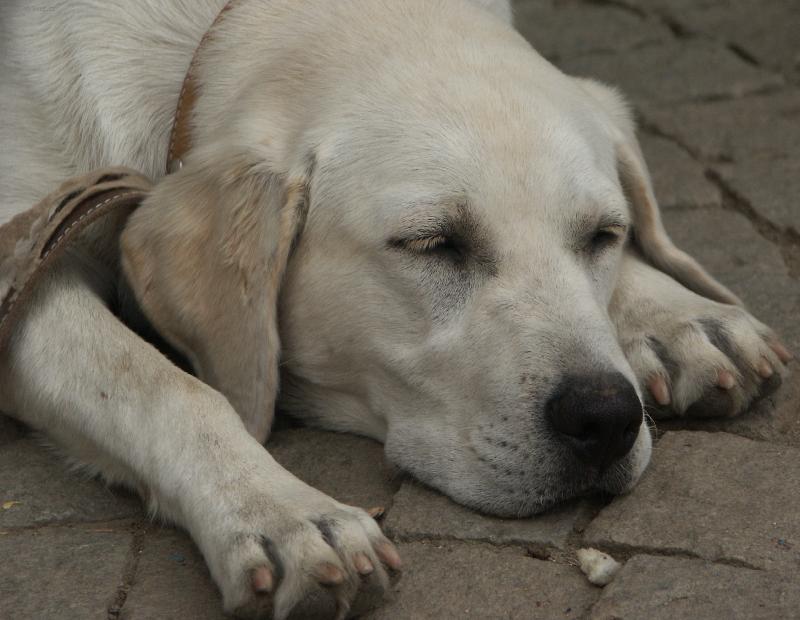 Foto: Sindy-Sindinka spink�