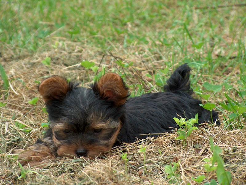 Foto: Mat�sek-Mat�sek na chalup�