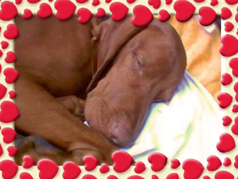 Foto: Rimmone�ek-Spink�me.....pros�m nebudit :)