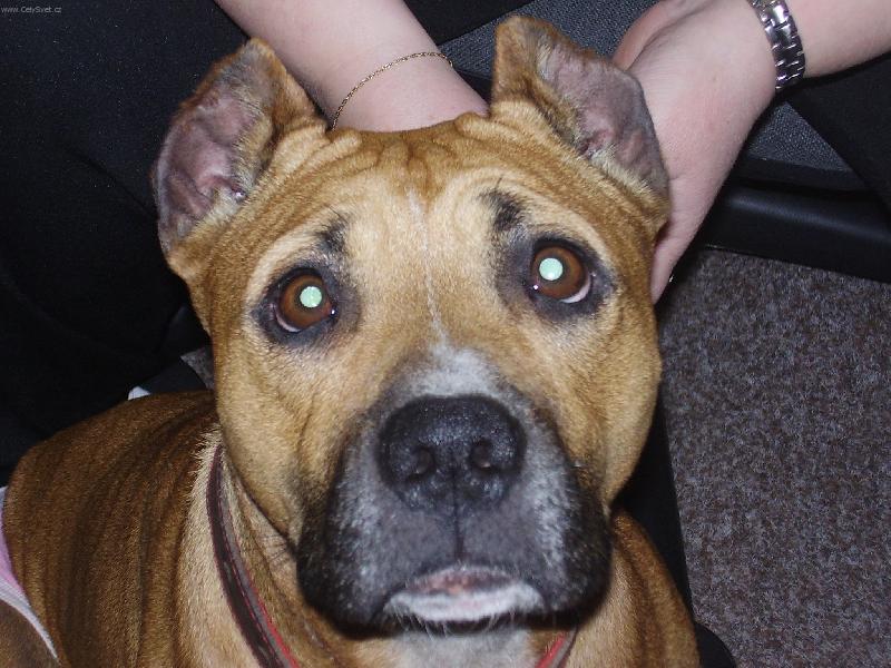 Foto: Na�e Nikitka