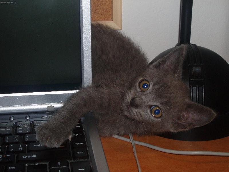 Foto: No co, taky se ucim psat...