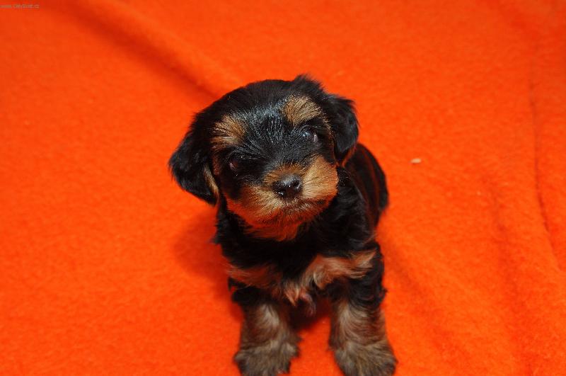 Foto: Kdo se m� na co ptal??:-)-Meggynka