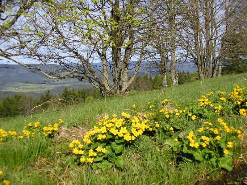 Foto: Blatouchy na Zh���