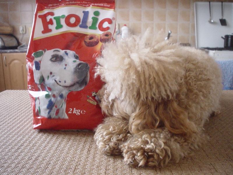 Foto: S�rinka-S�ra s granulema