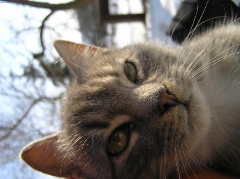 Foto: co po me chcou-nas milovany