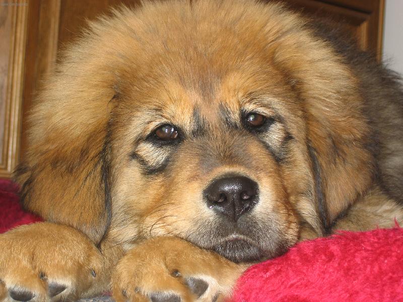 Foto: 3 m�s��n� �t���tko