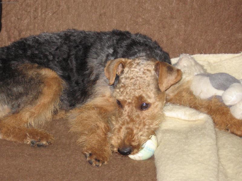 Foto: Dokonal� sest�ih.-no nejsem kr�sn�??