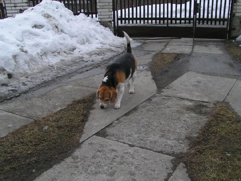 Foto: Na�e Aginka agentem :D