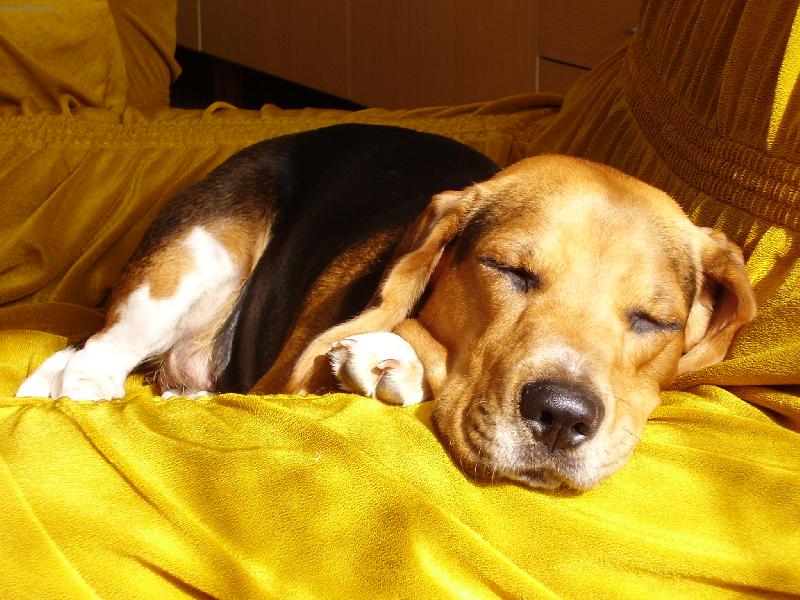 Foto: UNAVEN� CORA