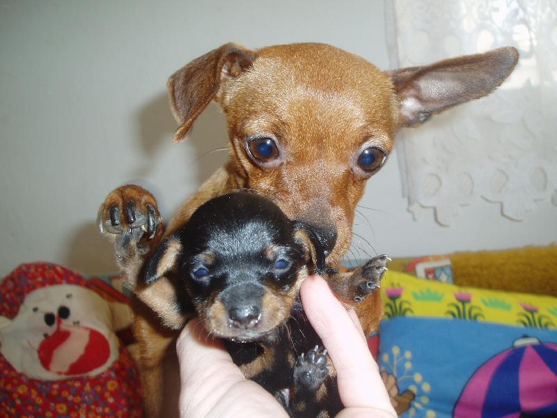 Foto: Dejte si na m� bacha!!