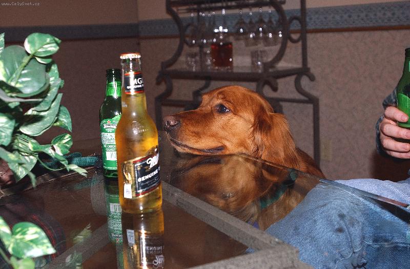 Foto: D�te si k�vi�ku nebo �aj?-kucha�ka Barunka