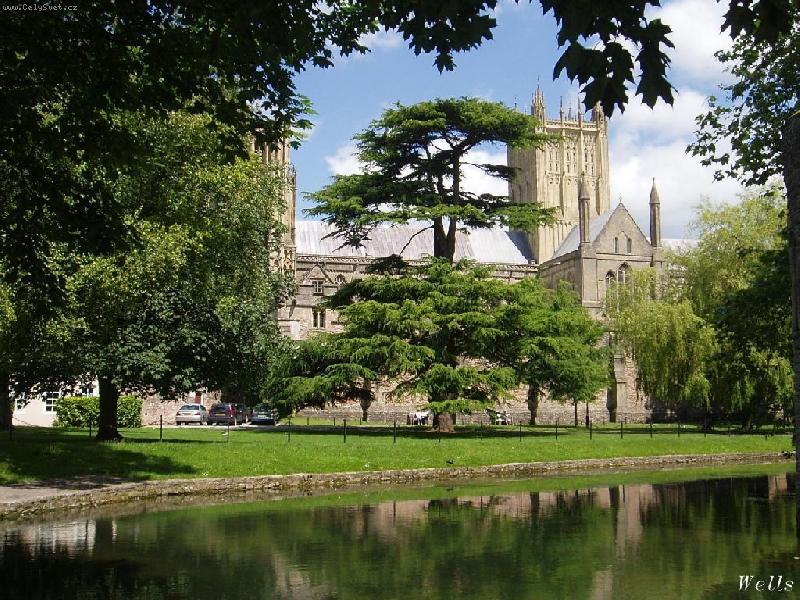 Foto: Pank�� AKI-s ply��kem beru��kem